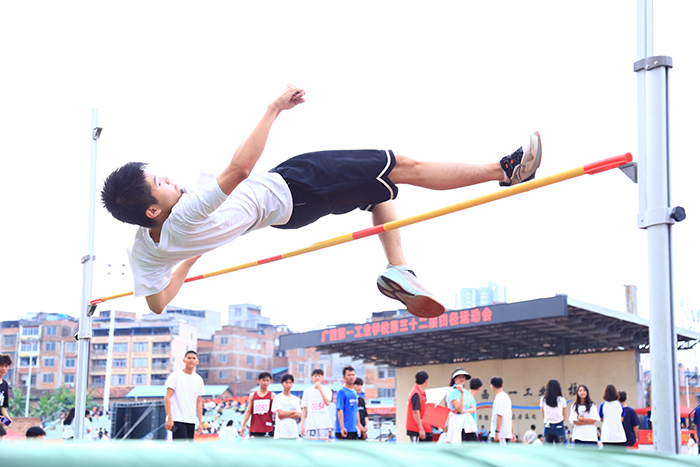 1699858341262623.jpg 7.jpg