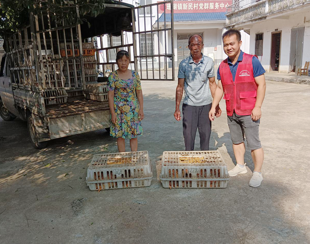 1725337236155930.png 1725337236155930.png