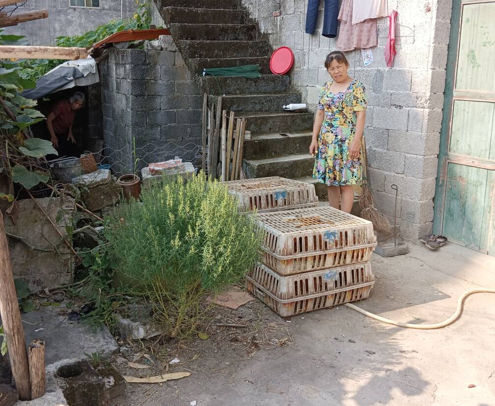 1725337282413111.jpg 1725337282413111.jpg