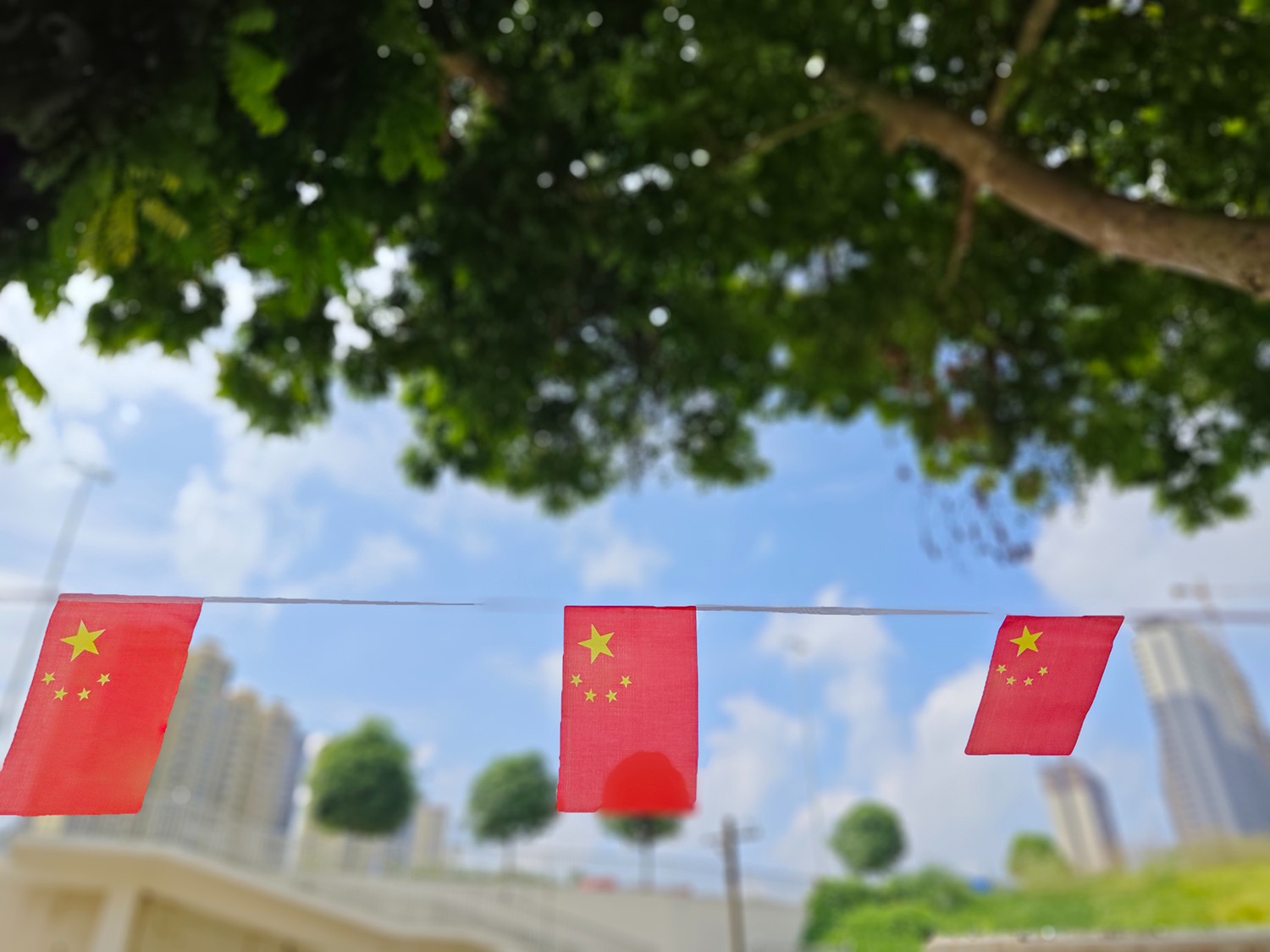 1727685060827765.jpg 1727685060827765.jpg