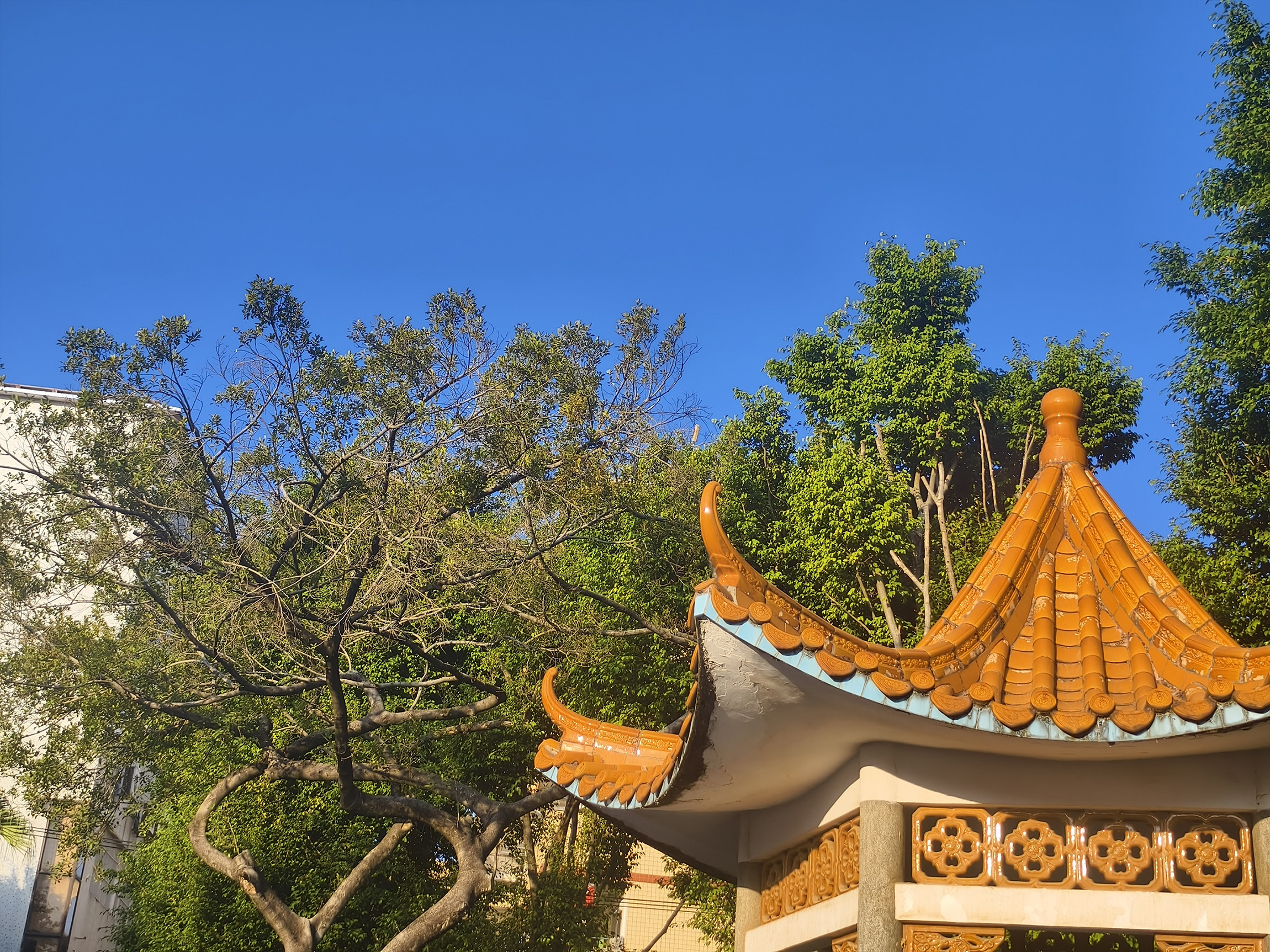 1732607311795899.jpg 1732607311795899.jpg