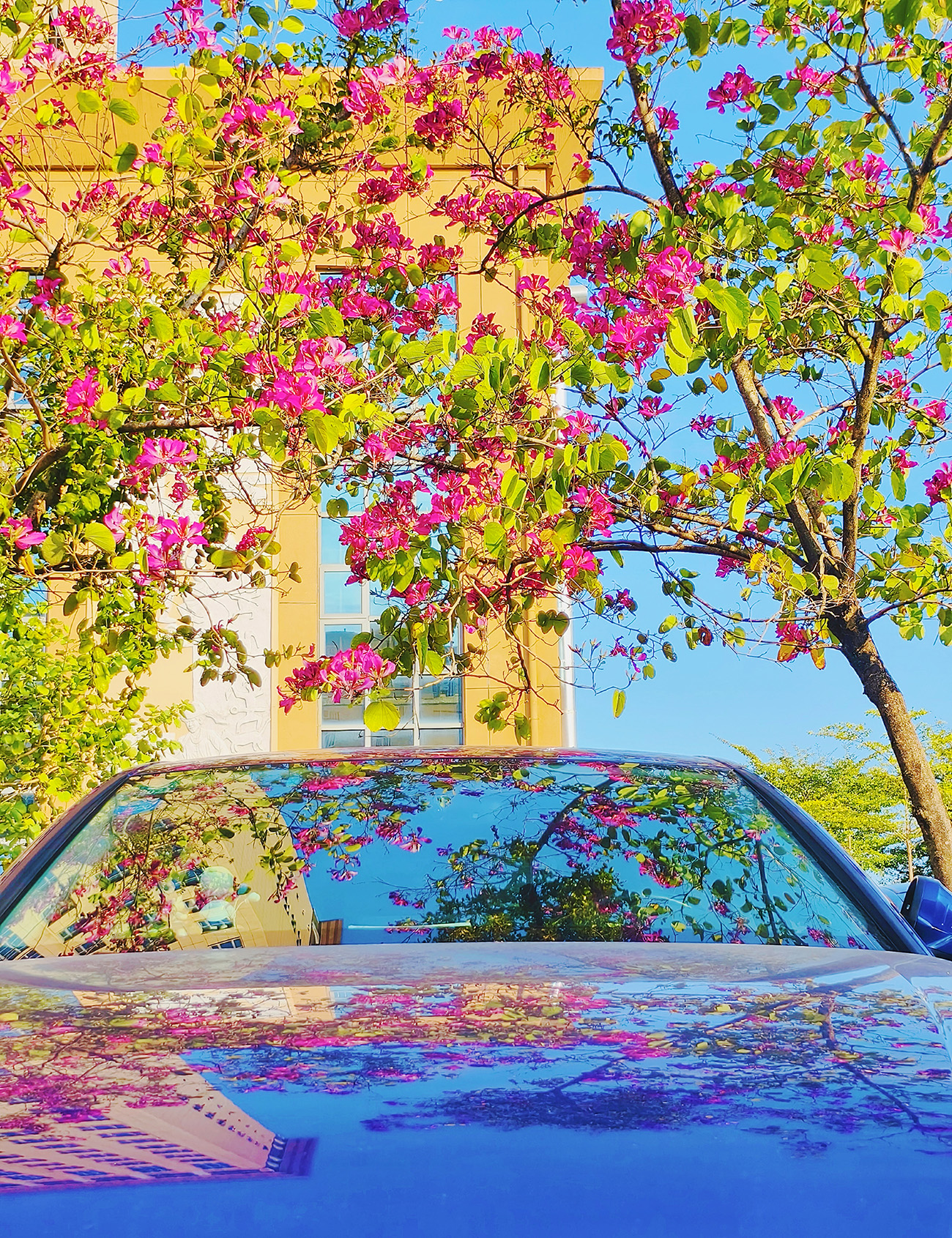 1732607349457084.jpg 1732607349457084.jpg