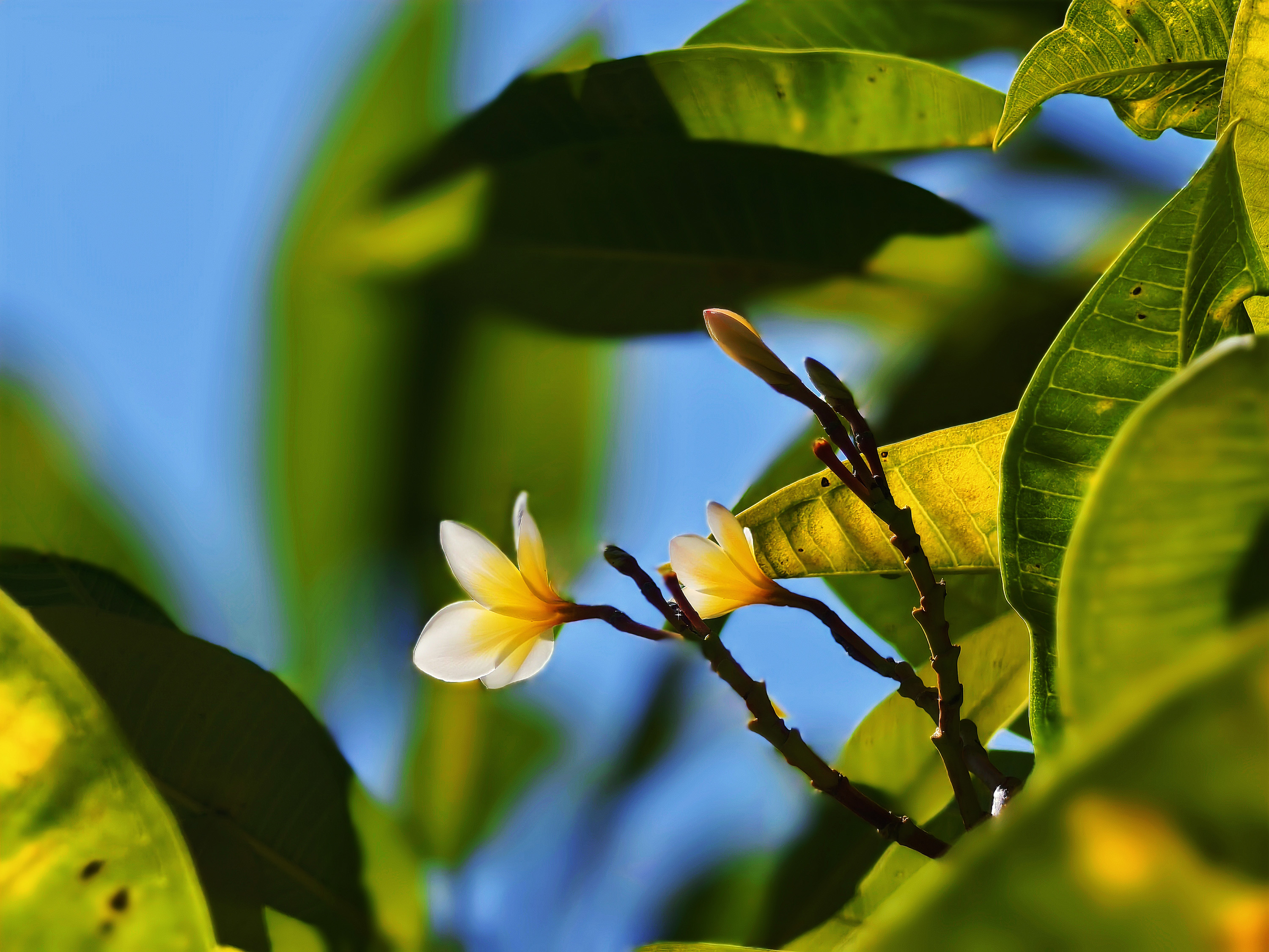 1732607367880236.jpg 1732607367880236.jpg