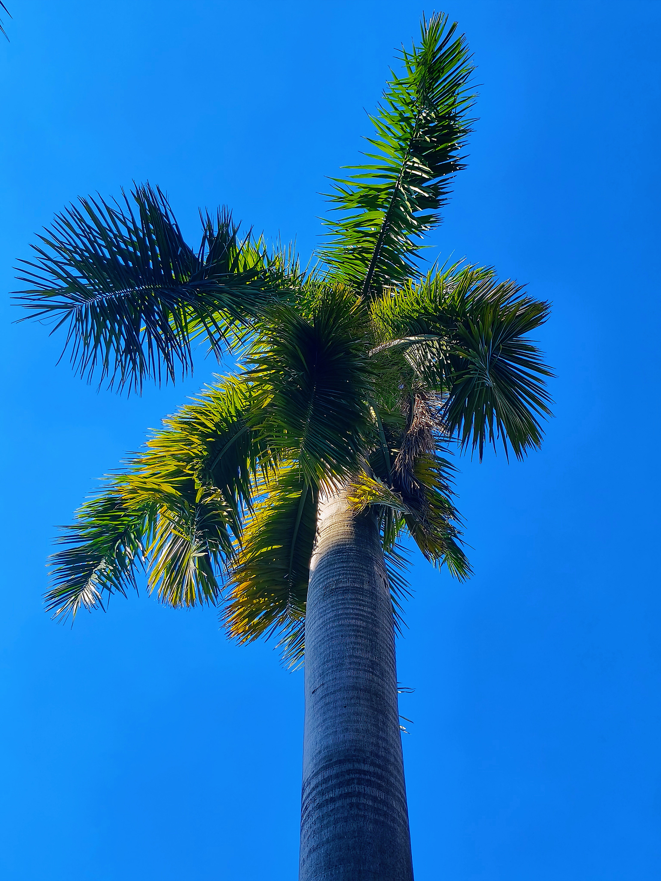 1732607395614914.jpg 1732607395614914.jpg