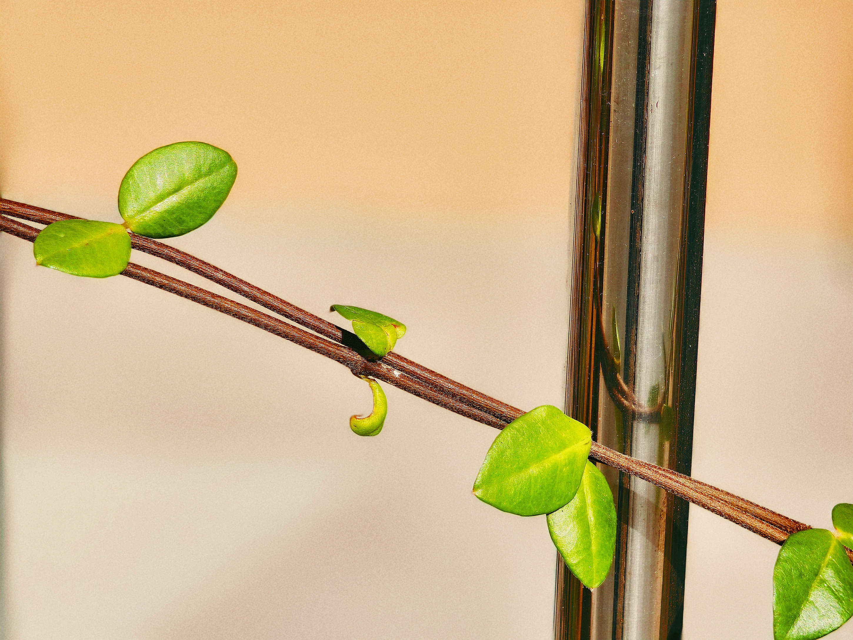 1732607412974375.jpg 1732607412974375.jpg